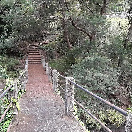 Residencia Do Saramago Tatil Evi