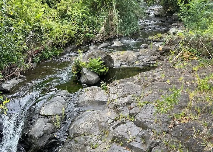 Residencia Do Saramago *